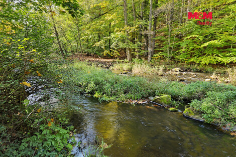 957/foto12_11568135_n3iyc.jpg