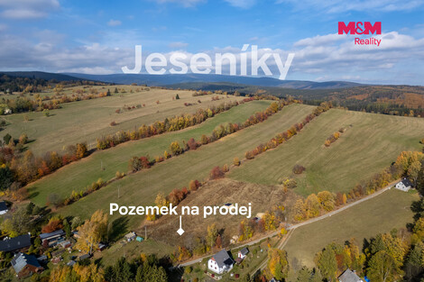 957/foto12_11570879_1lfjk4.jpg