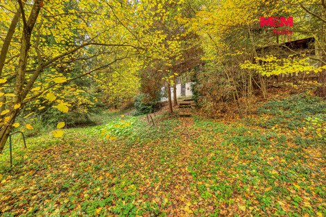 957/foto12_11572471_efxz8.jpg