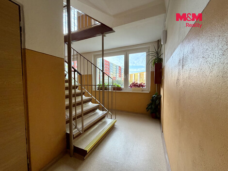 958/foto12_11567103_1h94o0.jpg