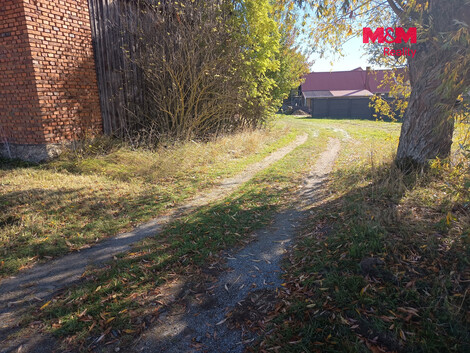 958/foto12_11567350_yf8ks.jpg