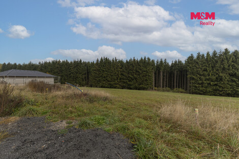958/foto12_11569369_1fokpk.jpg