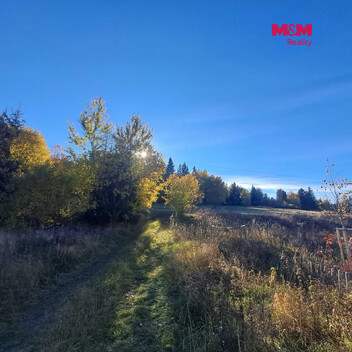 958/foto12_11569376_tor5k.jpg