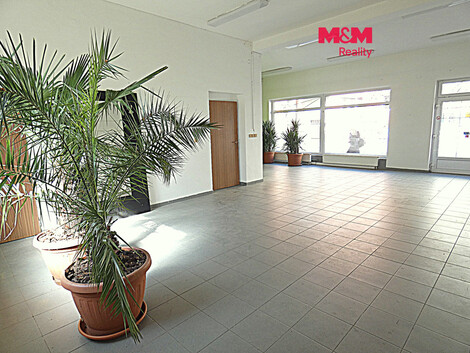 958/foto12_11569419_ande0.jpg
