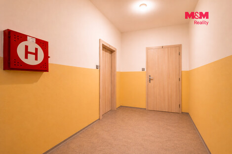 958/foto12_11569524_qpg1c.jpg
