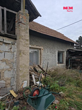 958/foto12_11570087_13vhxk.jpg