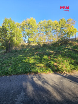 958/foto12_11570590_rer84.jpg