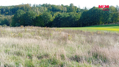 958/foto12_11570888_4wtqo.jpg