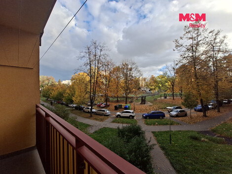 959/foto12_11571737_x1sy4.jpg
