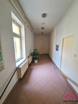 foto02_11365440_1bv0h0.jpg