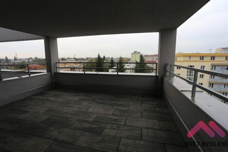 foto02_11365448_1ic1o4.jpg