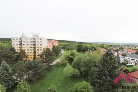 foto02_11373037_1dkn8.jpg