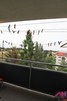 foto02_11382597_563ug.jpg