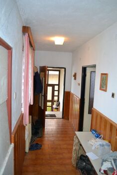 foto02_11381476_131aic.jpg