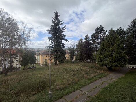 foto02_11556594_sxa18.jpg
