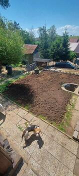 foto02_11337724_8skls.jpg