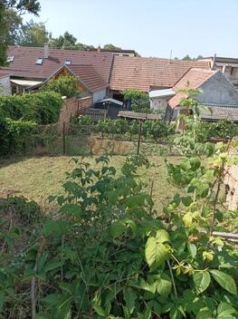 foto02_11348615_1fzkp4.jpg