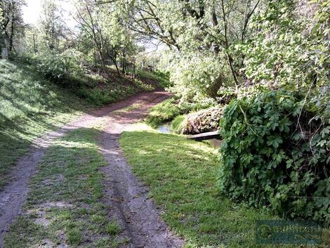 foto02_11356694_ekb0.jpg