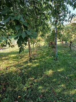 foto02_11383674_18ffh4.jpg