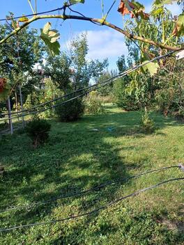 foto02_11383674_1k99q0.jpg
