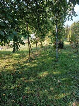 foto02_11383674_v9mas.jpg