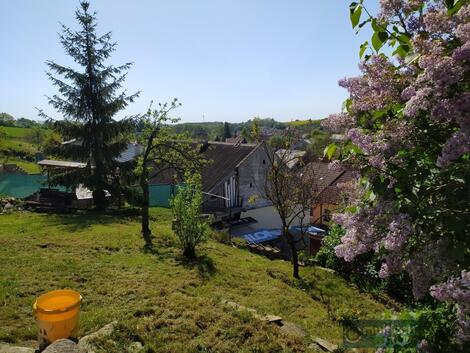 foto02_11384372_18ve38.jpg