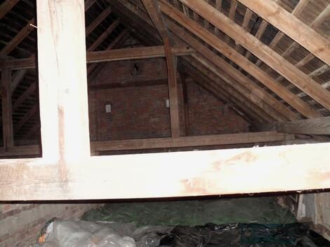 foto02_11384372_z0rqc.jpg