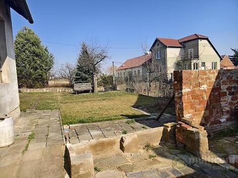 foto02_11465080_1jt3gw.jpg