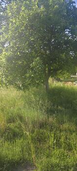 foto02_11486197_v1db4.jpg
