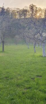 foto02_11496541_5kyvk.jpg