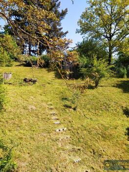 foto02_11518316_jfc5o.jpg