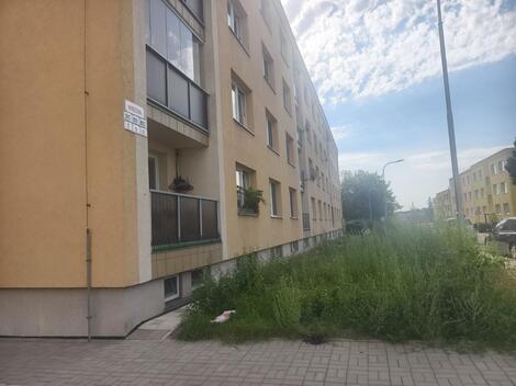 foto02_11534797_1ehzdk.jpg