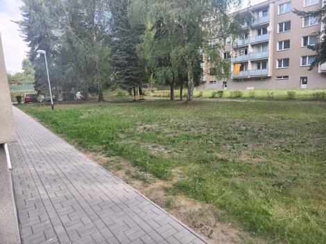foto02_11534797_emf8g.jpg