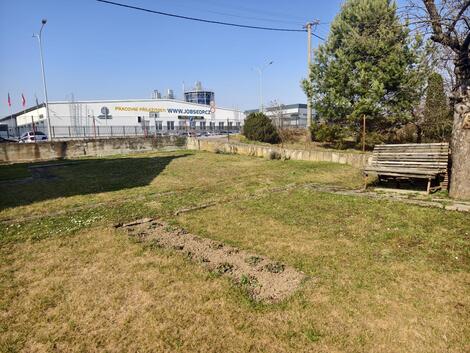 foto02_11536554_1d3ik0.jpg