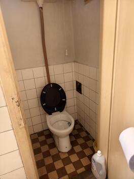 foto02_11536554_1jzuak.jpg