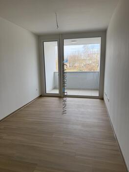 foto02_11353857_dwmrg.jpg