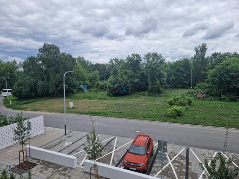 foto02_11355257_3nkt0.jpg