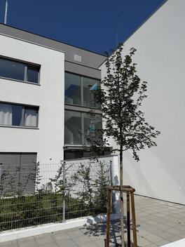 foto02_11356192_cncwg.jpg