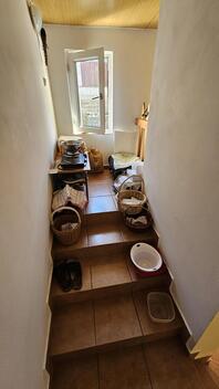 foto02_11315127_1f7zy8.jpg