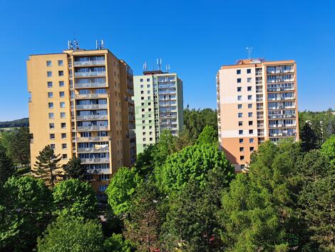 foto02_11341067_7cgr8.jpg