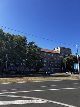 foto02_11338294_v16lg.jpg
