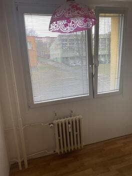 foto02_11365454_rher0.jpg