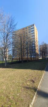 foto02_11480608_3qa9c.jpg