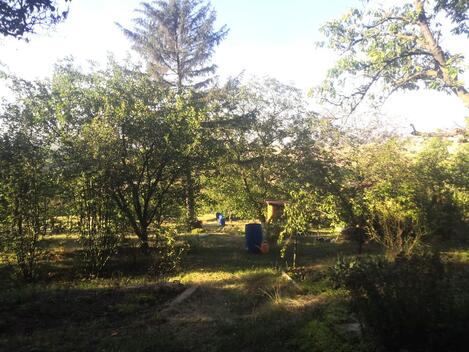 foto02_11497182_uxmqo.jpg