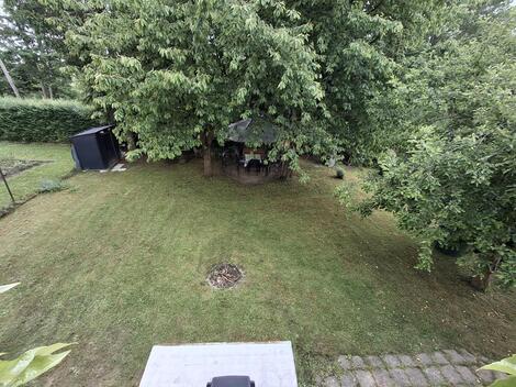 foto02_11332569_15w6zg.jpg
