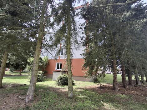 foto02_11362816_1dwpek.jpg