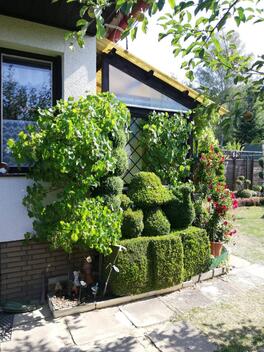 foto02_11458308_1nikn0.jpg