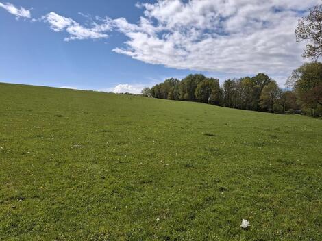 foto02_11501935_mtrc0.jpg