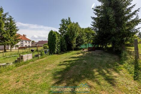 foto02_11345508_ey4j4.jpg