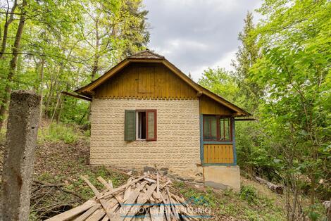 foto02_11492149_xd2ys.jpg